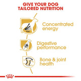 Royal Canin Great Dane Adult || Royal Canin Breed || view 3