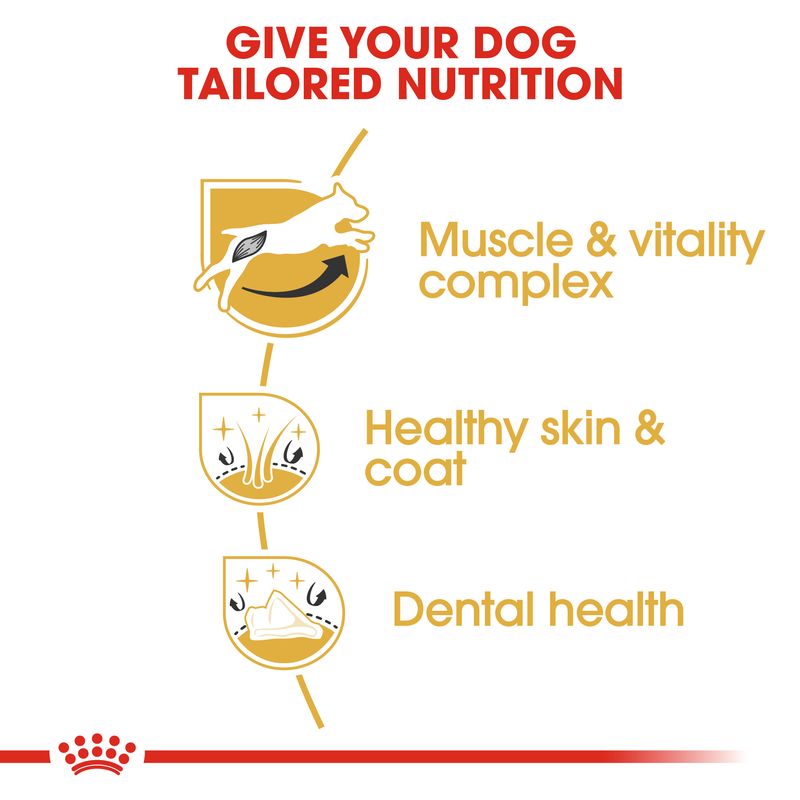 Royal Canin Jack Russell Terrier Adult || Royal Canin Breed || view 3