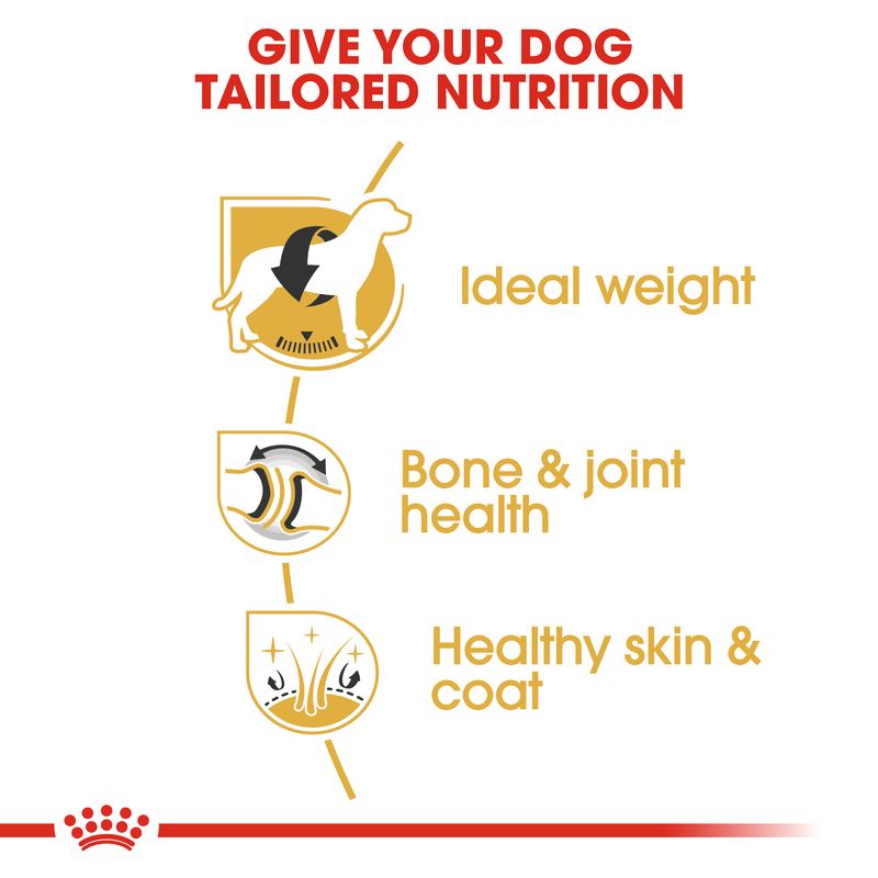 Royal Canin Labrador Retriever Adult || Royal Canin Breed || view 5
