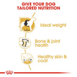 Royal Canin Labrador Retriever Adult || Royal Canin Breed || view 5