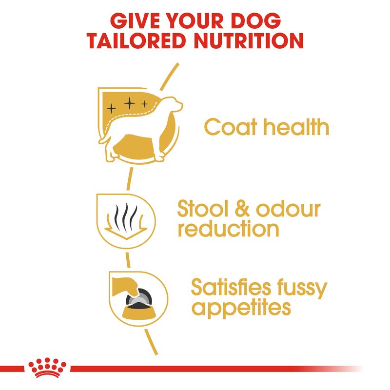 Royal Canin Maltese Adult || Royal Canin Breed || view 3