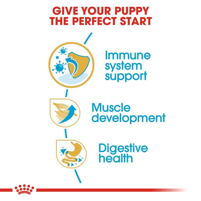 Royal Canin Boxer Puppy || Royal Canin Breed || view 5