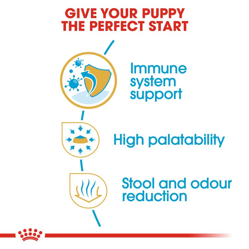 Royal Canin Chihuahua Puppy || Royal Canin Breed || view 5