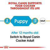 Royal Canin Cocker Spaniel Puppy || Royal Canin Breed || view 7