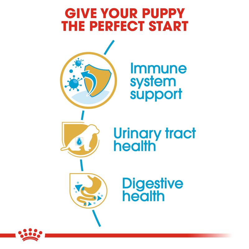 Royal Canin Dalmatian Puppy || Royal Canin Breed || view 3