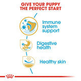 Royal Canin French Bulldog Puppy || Royal Canin Breed || view 4