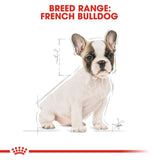 Royal Canin French Bulldog Puppy || Royal Canin Breed || view 5