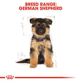 Royal Canin German Shepherd Puppy || Royal Canin Breed || view 6