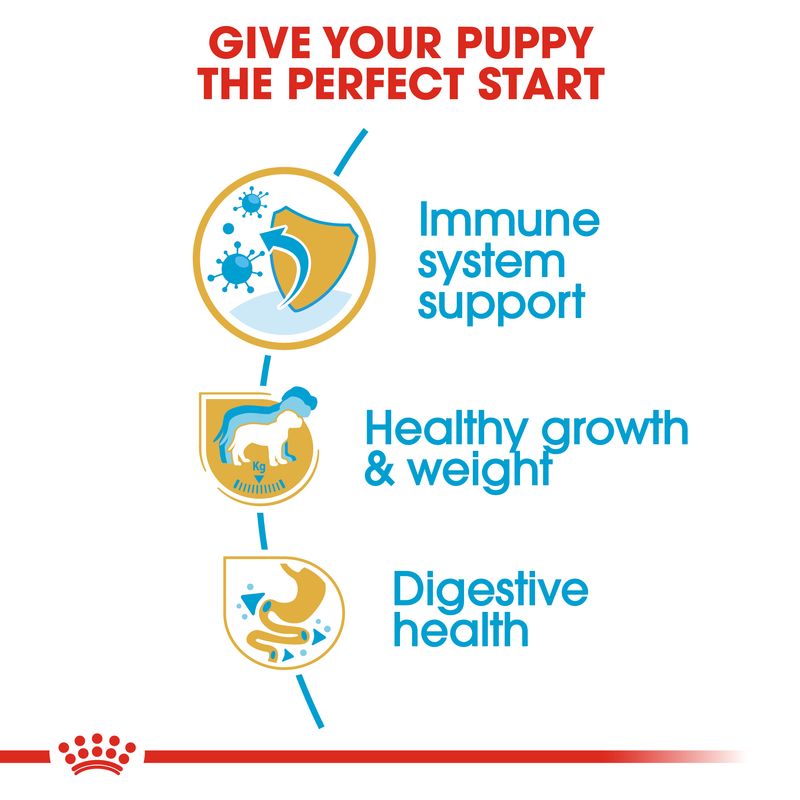 Royal Canin Labrador Retriever Puppy || Royal Canin Breed || view 3