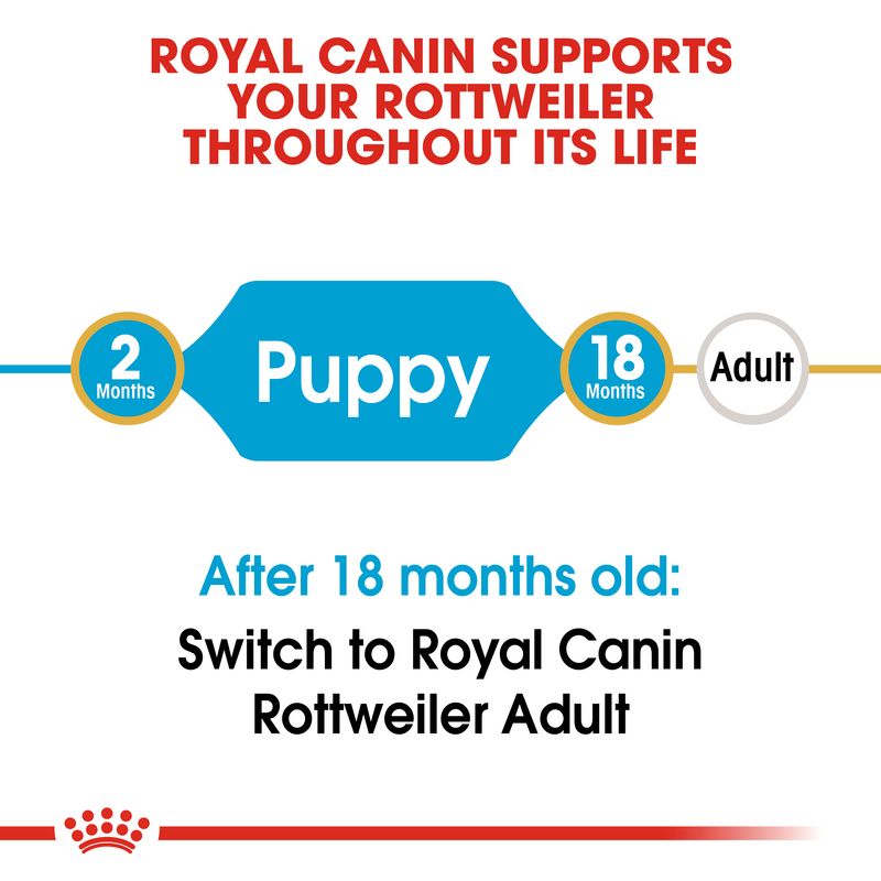Royal Canin Rottweiler Puppy || Royal Canin Breed || view 5