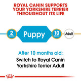 Royal Canin Yorkshire Terrier Puppy || Royal Canin Breed || view 5