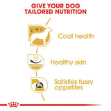 Royal Canin West Highland White Terrier Adult || Royal Canin Breed || view 3