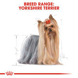 Royal Canin Yorkshire Terrier Adult Loaf || Royal Canin Breed || view 5