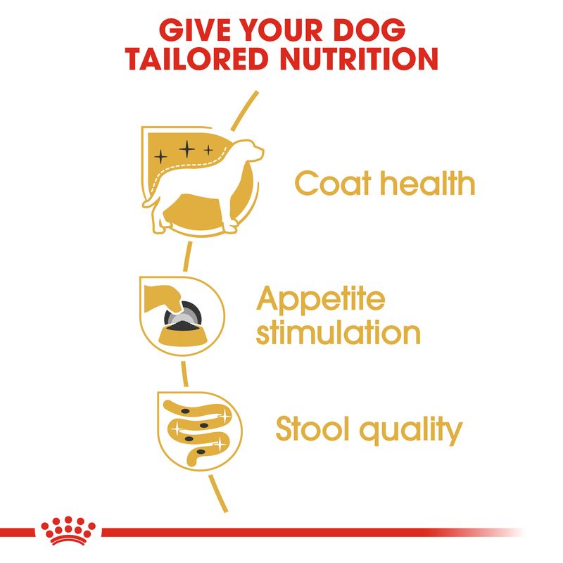Royal Canin Yorkshire Terrier Adult Loaf || Royal Canin Breed || view 3