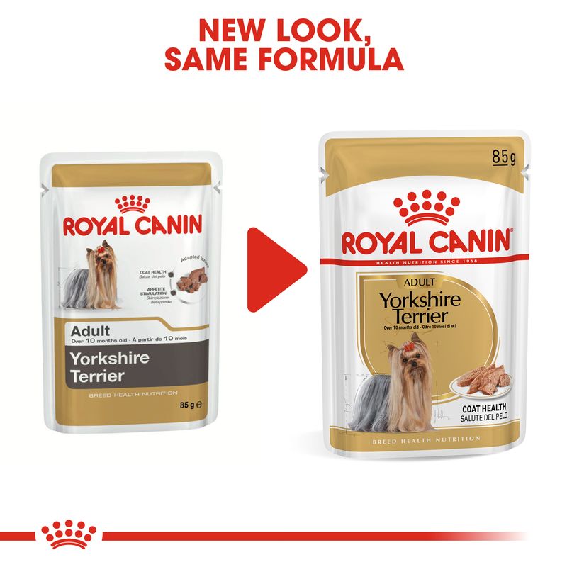 Royal Canin Yorkshire Terrier Adult Loaf || Royal Canin Breed || view 6