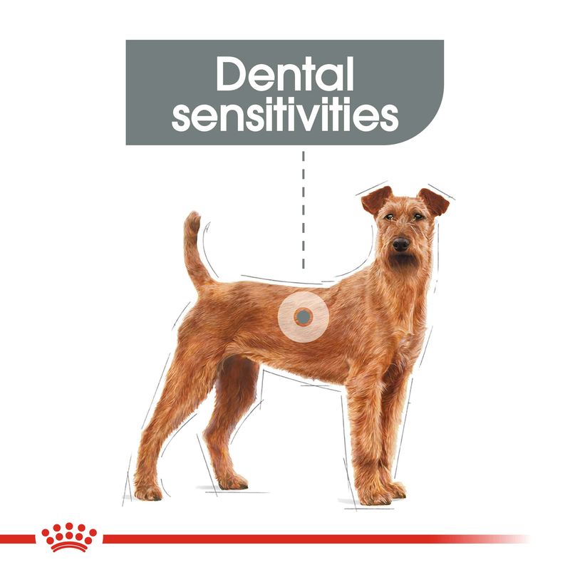 Royal Canin Care Nutrition Medium Dental Care || Royal Canin Care Nutrition || view 3