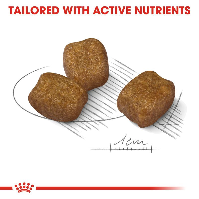 Royal Canin Mini Dental Care || Royal Canin Care Nutrition || view 3