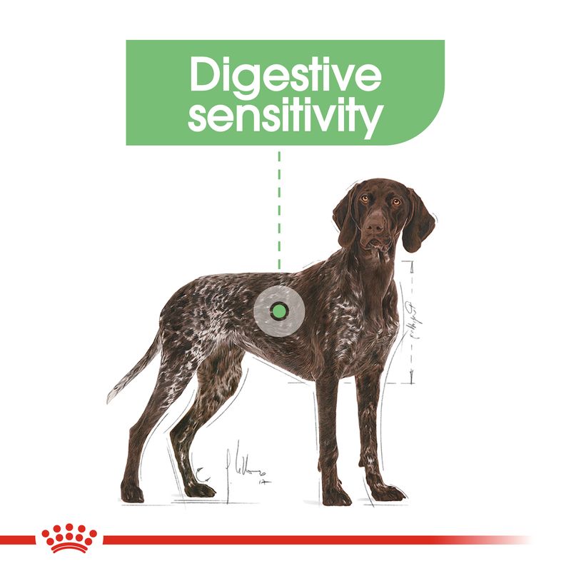 Royal Canin Maxi Digestive Care || Royal Canin Care Nutrition || view 7
