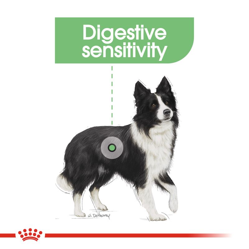 Royal Canin Medium Digestive Care || Royal Canin Care Nutrition || view 7