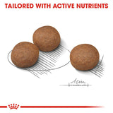 Royal Canin Medium Digestive Care || Royal Canin Care Nutrition || view 3