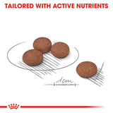 Royal Canin Mini Digestive Care || Royal Canin Care Nutrition || view 3