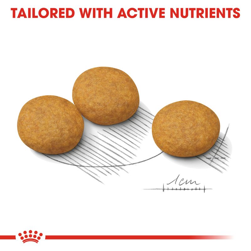 Royal Canin Medium Dermacomfort || Royal Canin Care Nutrition || view 3
