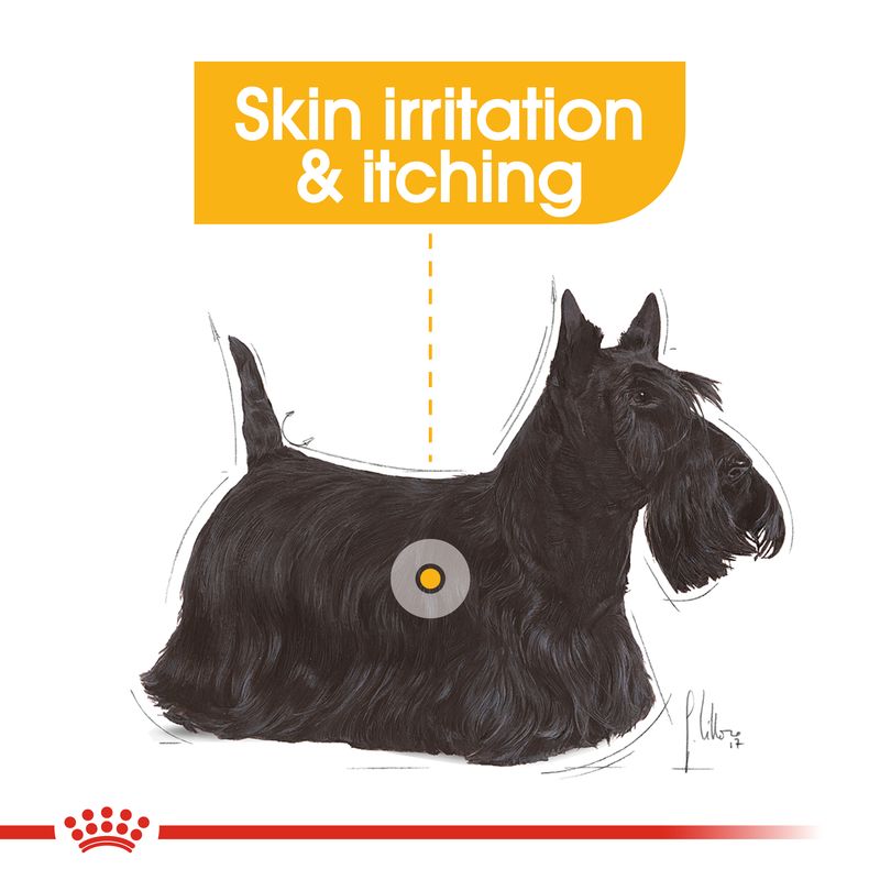 Royal Canin Mini Dermacomfort || Royal Canin Care Nutrition || view 7