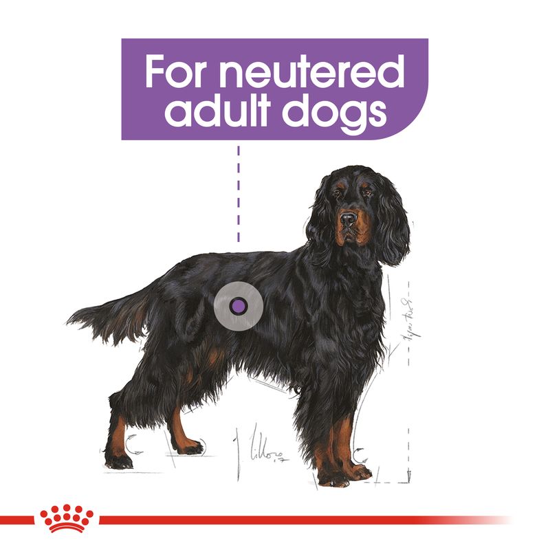 Royal Canin Maxi Sterilised || Royal Canin Care Nutrition || view 7