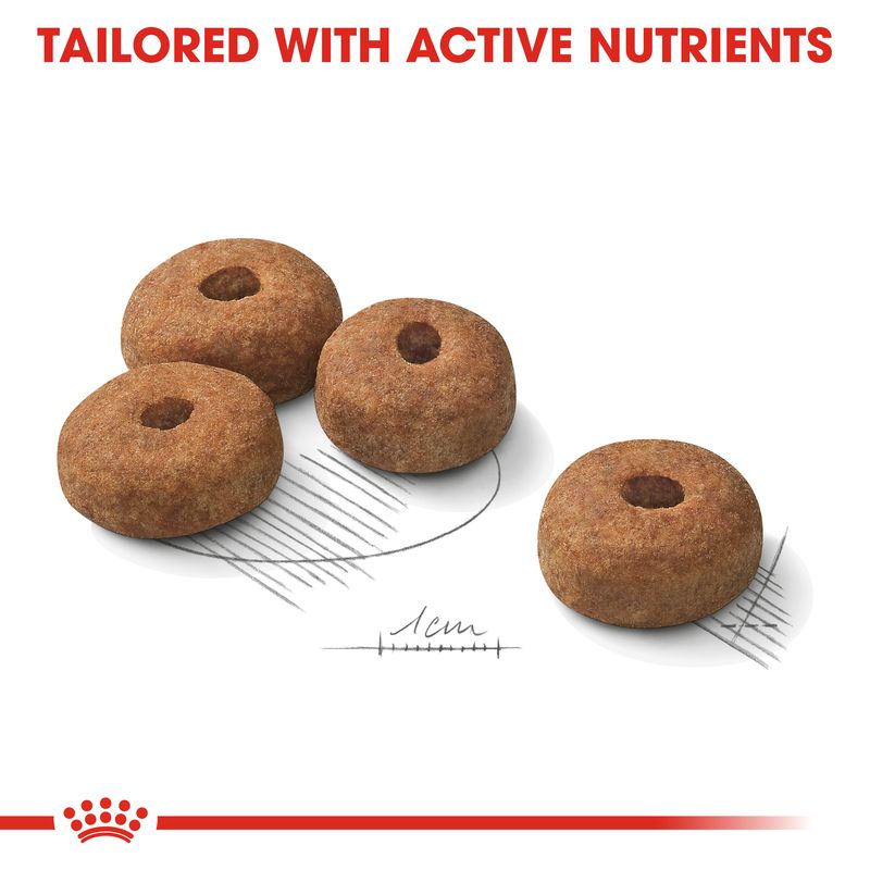 Royal Canin Maxi Sterilised || Royal Canin Care Nutrition || view 3