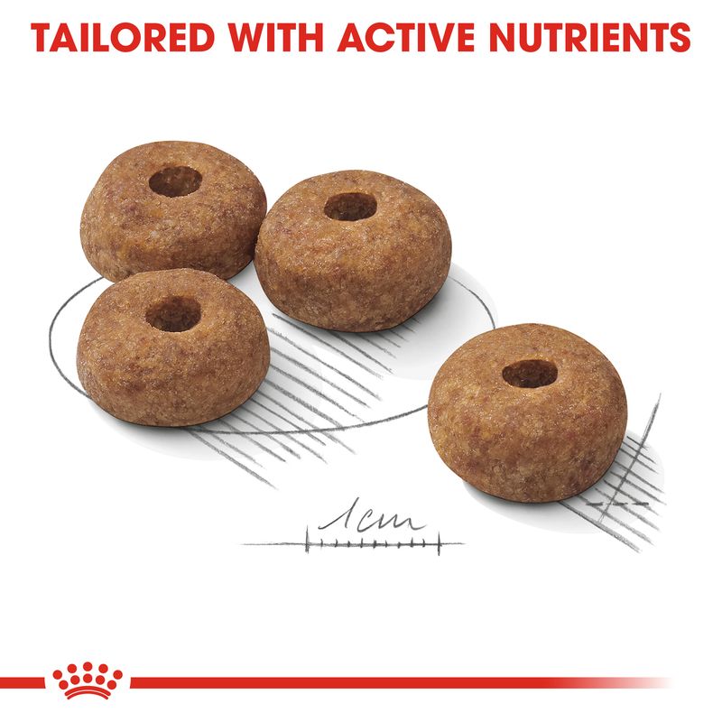 Royal Canin Medium Sterilised || Royal Canin Care Nutrition || view 3