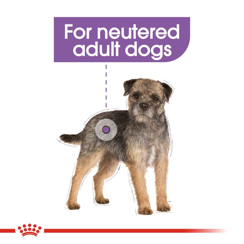 Royal Canin Mini Sterilised || Royal Canin Care Nutrition || view 7