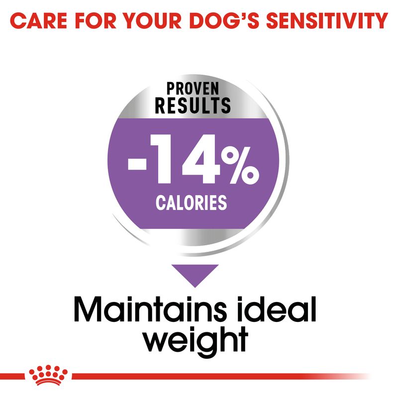 Royal Canin Mini Sterilised || Royal Canin Care Nutrition || view 5