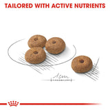 Royal Canin Mini Sterilised || Royal Canin Care Nutrition || view 3