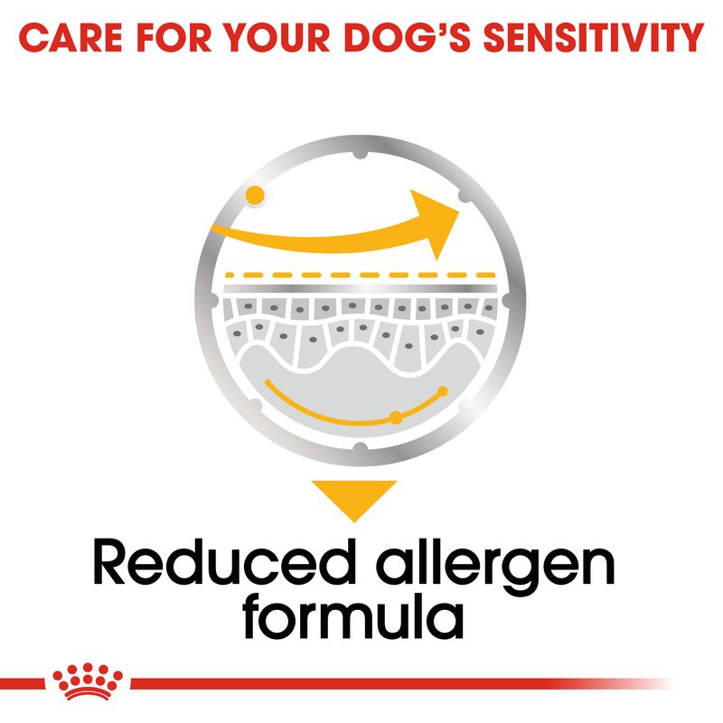 Royal Canin Dermacomfort Loaf || Royal Canin Care Nutrition || view 5