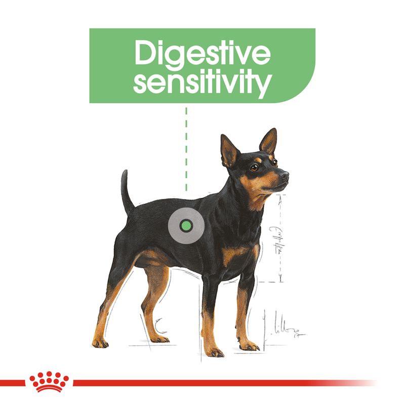 Royal Canin Digestive Care Loaf || Royal Canin Care Nutrition || view 6