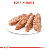 Royal Canin Digestive Care Loaf || Royal Canin Care Nutrition || view 3