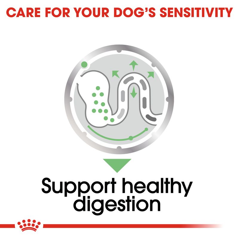 Royal Canin Digestive Care Loaf || Royal Canin Care Nutrition || view 4