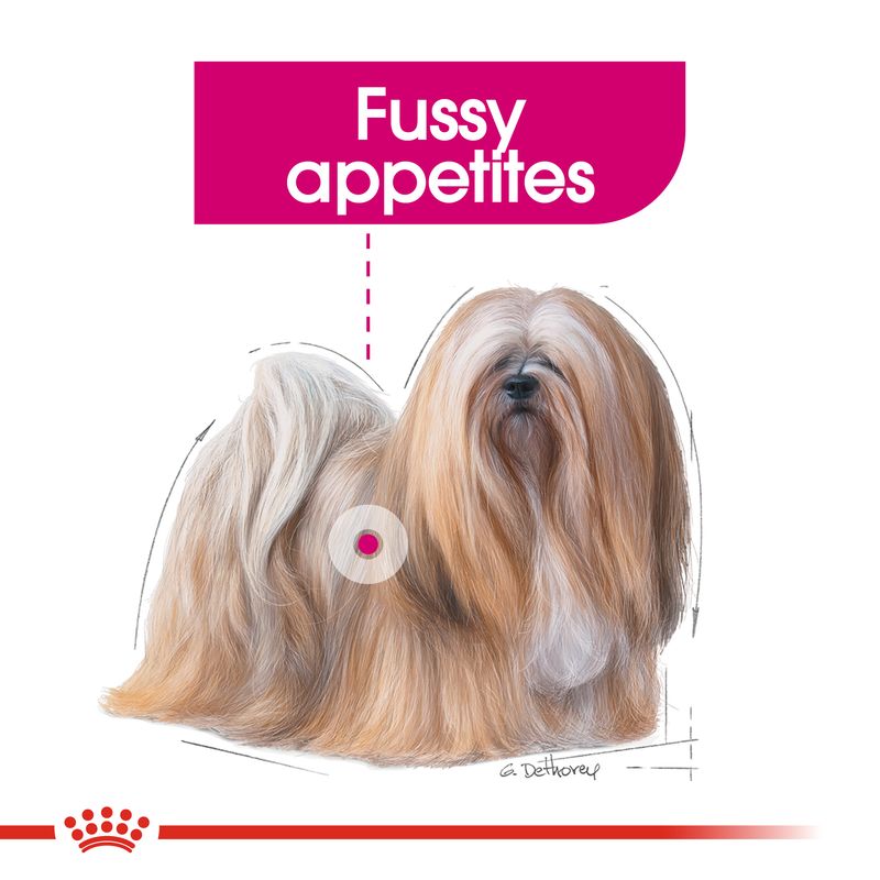 Royal Canin Exigent Loaf || Royal Canin Care Nutrition || view 7