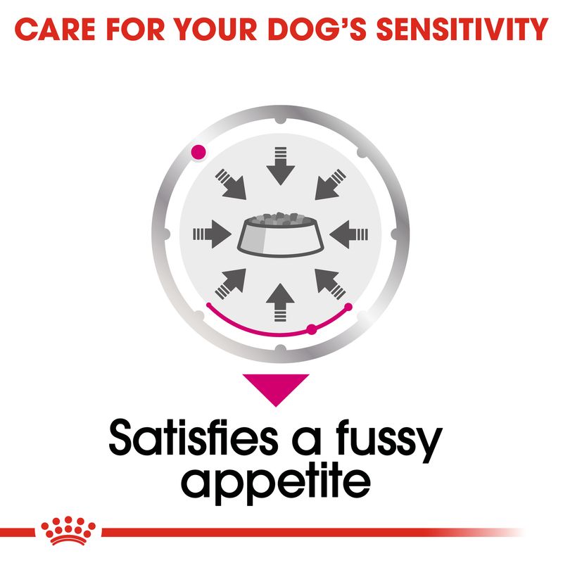 Royal Canin Exigent Loaf || Royal Canin Care Nutrition || view 6