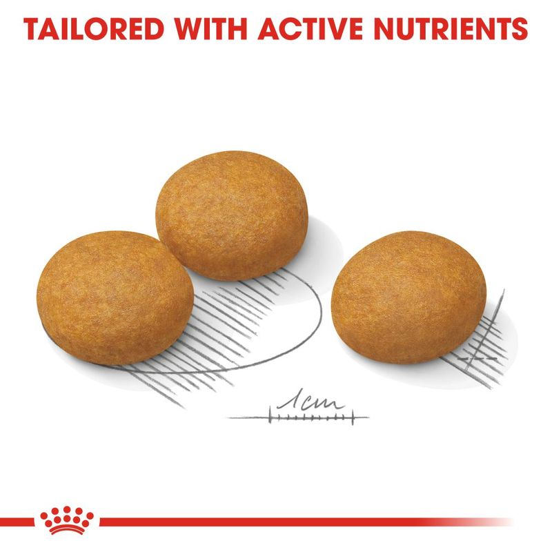 Royal Canin Maxi Dermacomfort || Royal Canin Care Nutrition || view 3