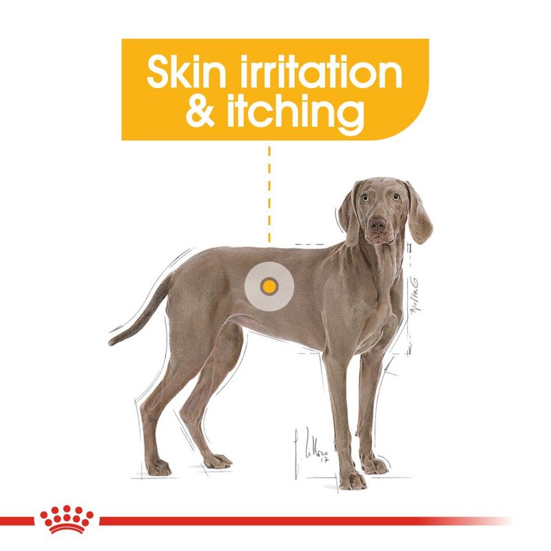 Royal Canin Maxi Dermacomfort || Royal Canin Care Nutrition || view 7