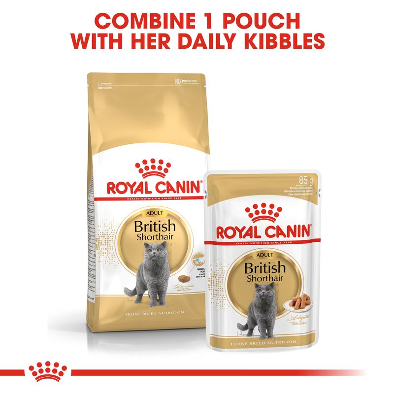 Royal Canin British Shorthair Adult || Royal Canin Breed || view 4