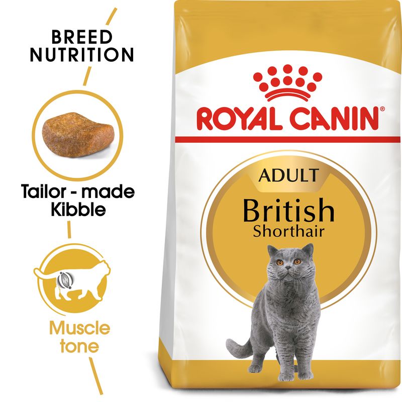 Royal Canin British Shorthair Adult || Royal Canin Breed || view 1