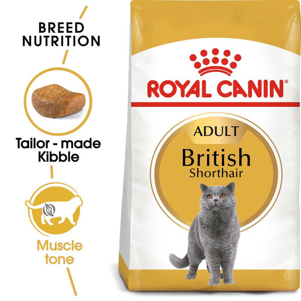 Royal Canin British Shorthair Adult || Royal Canin Breed || view 1