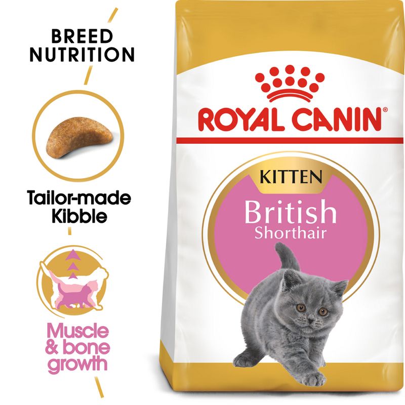 Royal Canin British Shorthair Kitten || undefined || view 1