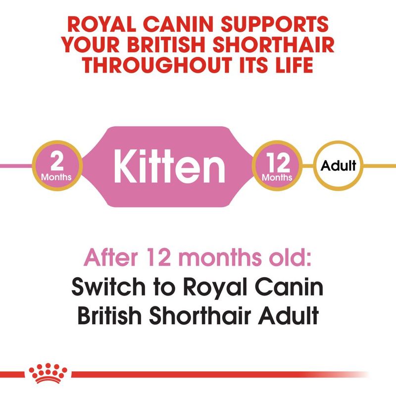 Royal Canin British Shorthair Kitten || undefined || view 4