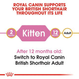 Royal Canin British Shorthair Kitten || undefined || view 4