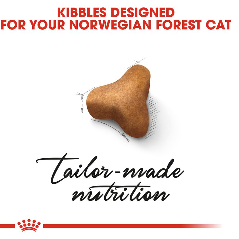 Royal Canin Norwegian Forest Cat Adult || Royal Canin Breed || view 3