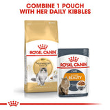 Royal Canin Norwegian Forest Cat Adult || Royal Canin Breed || view 4