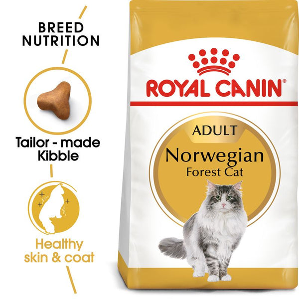 Royal Canin Norwegian Forest Cat Adult || Royal Canin Breed || view 1